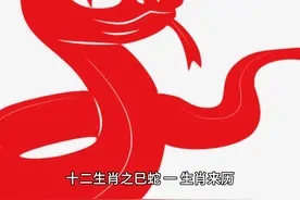 十二生肖之巳蛇视频封面