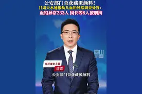 #园长同意后厨将颜料加入食物致孩子铅中毒  7月8日，甘肃天水市联合调查组发布，关于天水市麦积区培心幼儿园幼儿血铅异常问题调查处置情况的通报。