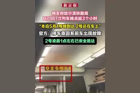 网友称哈尔滨铁路局D7987次列车晚点超3个小时 官方：停车原因系前车出现故障