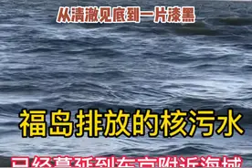 福岛核污水排海后第七天，东京附近海域一片漆黑，水上飘着鱼的尸体。视频封面