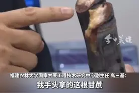 专家介绍，未成熟的甘蔗容易发生霉变，其中有一种霉变的真菌叫做节菱孢霉菌，这种霉菌在生长繁殖过程中，会产生一种名为3-硝基丙酸的神经毒素，这种毒素仅0.5克就可能使人中毒。专家提醒，目前3-硝基丙酸中毒没有特效药。（央视网）