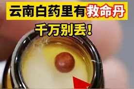 #云南白药的保险子 ，千万别弄丢了，会有意想不到的作用#涨知识#科普#生活常识