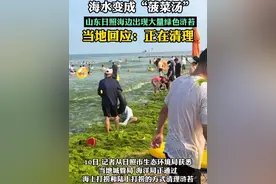 海水变成“菠菜汤”，山东日照海边出现大量绿色浒苔，当地回应：正在清理#日照