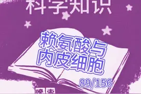 赖氨酸参与血管内皮细胞增殖以及血管形成视频封面
