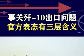 多国求购歼-10战机，想买中国先进装备，要有哪些先决条件？ #抖音热评视频封面