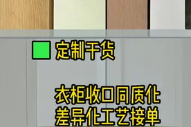现在还有人衣柜做宽收口条的吗？#衣柜 #18收口 #无收口 #极简 #全屋定制视频封面