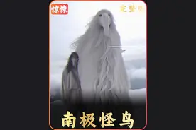 南极冰墙外的巨型怪鸟 视频内容纯属虚构，请谨慎辨别！#极寒之旅视频封面