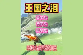 【王国之泪】奥尔龙  费罗龙  聂尔龙 三条龙5种材料获取方式视频封面