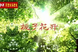 歌曲《栀子花开》原唱背景视频