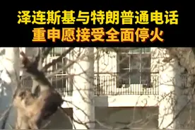 泽连斯基与特朗普通电话 重申愿接受全面停火 视频封面