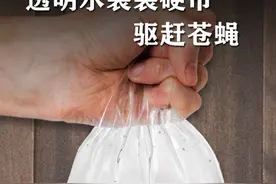 透明水袋装硬币，就能驱赶苍蝇，这是什么原理？ #趣味实验 #涨见识 #原理 #抖音知识年终大赏视频封面