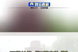 农牧户单户最高可贷1000万元，企业主体最高可贷3000万元。#贷款 #畜牧业 #西藏视频封面