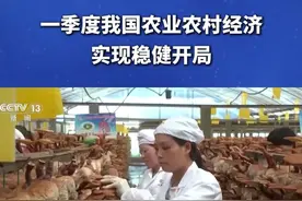 一季度我国农业农村经济实现稳健开局 #农村#农民 #经济视频封面