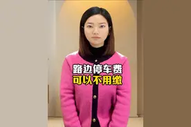 原来路边的停车费是可以不用缴的！ #硬核深度计划 #抖音知识年终大赏 #内容启发搜索 #艺术在抖音视频封面