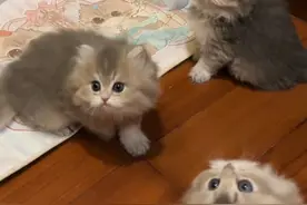 真心方能换真心❤️ 