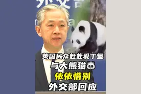 英国民众冒着严寒赶赴爱丁堡与大熊猫依依惜别。作为英国仅有的两只大熊猫，“阳光”和“甜甜”将于12月返回中国#大熊猫 #旅英大熊猫 #中国 #熊猫视频封面