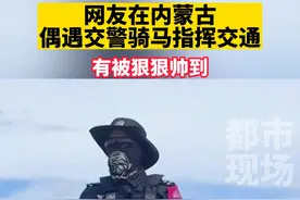 网友在内蒙古，偶遇交警骑马指挥交通！#路人视角  #帅气出场  #海东青骑警队 #现场实拍视频封面