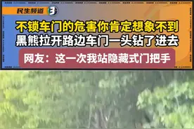 不锁车门的危害你肯定想象不到！黑熊拉开路边车门一头钻了进去...网友：这一次我站隐藏式门把手视频封面