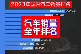 23年汽车销量TOP200，轩逸朗逸依旧坚挺，你的爱车排第几 #汽车视频封面