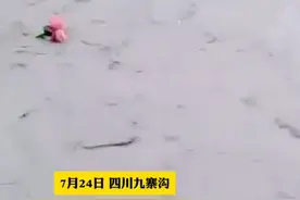 7月24日，四川九寨沟消防员救援时被洪水冲走，奋力自救划到岸边，岸上众人合力救援成功。视频封面