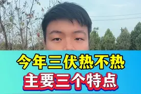 今年三伏天热不热？主要三个特点！ #三伏天 #农业谚语 #公伏母伏 #农业种植视频封面