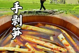 手剥笋 现拔山笋鲜嫩脆！手剥现做麻辣味手剥笋，麻辣脆爽！#我的乡村生活 #农村美食 #新农人计划2025 #谷雨吃春分外鲜 #乡野春日地图