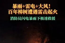 暴雨+雷电+大风！百年樟树遭遇雷击起火，消防员闪电暴雨下极限救援！#消防救援