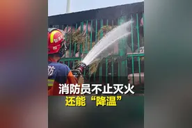近日，山东泰安。“八戒：前面是火焰山吗？”190头活猪高速路上中暑昏厥，消防员浇水降温挽回60万元损失