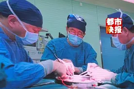 #国际首例基因编辑猪—脑死亡患者异种原位全肝移植手术在西京医院获成功视频封面