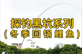 冬天回锅鲤鱼应该如何坐钓，味型有何讲究，一起探索一下#2024dou来钓鱼 #鲤鱼饵料 #鲤鱼窝料 #黑坑鲤鱼 #原来钓鱼才是抖音运动顶流