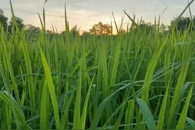 治病救人，是医生的职责，更是坚守不变的初心。