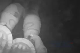 宁夏一辅警爬进山洪洞穴救出走失女子 1月14日，在宁夏盐池，一女子走失，家人着急报警求助，盐池县公安局麻黄山派出所民警通过地面搜救以及无人机搜寻，6个小时后，终于在距离其家3公里外的一处山洪冲出的洞穴中找到。“我瘦一点，我能进去，我来！”由于山洪洞穴有3米深且狭窄，辅警张益福主动俯下身子爬入洞穴进行救援。最终成功将其救出。#天天讲安全 #宁夏一辅警爬进山洪洞穴救出走失女子视频封面