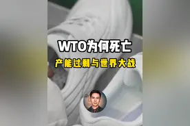 西方曾接纳中国加入 WTO，如今为何变卦？产能过剩与世界大战 #WTO #产能过剩 #掘金计划2024视频封面