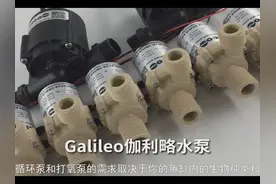 鱼缸用循环泵还用打氧泵吗视频封面