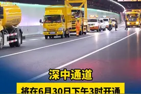 深中通道将在6月30日下午3时开通，预计日均车流超8万车次 #深中通道 桥见未来视频封面