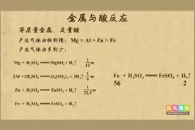 金属与盐酸和稀硫酸的反应