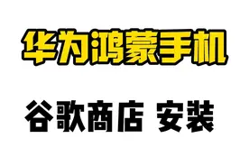 超简单的华为手机安装谷歌商店教程，谷歌框架三件套服务