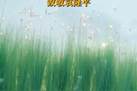 10月16日，据央视新闻，今天是世界粮食日，感受农民的中国式浪漫！湖南农村小伙放巨型稻穗烟花致敬袁隆平。视频封面