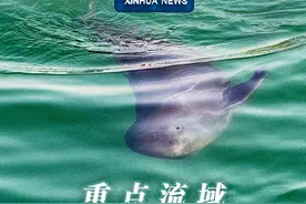 新华社消息｜重点流域水生态环境保护取得重大进展视频封面