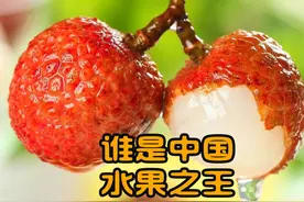 山东广东两强争霸，谁是中国的水果之王？各省历年水果产量排名