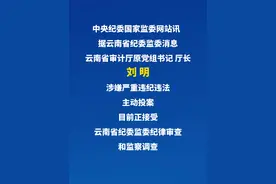 5月28日据云南省纪委监委消息：云南省审计厅原党组书记、厅长刘明接受审查调查。视频封面