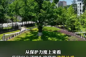 直达现场 | 国家林草局新闻发布会 ：中国古树名木保护管理国际领先视频封面