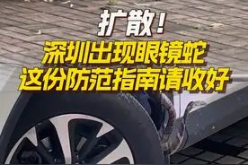 扩散！深圳出现眼镜蛇 这份防范指南请收好 转发扩散！近日，深圳出现眼镜蛇。正值出游高峰季，这份防范指南请收好。科学防范，理性应对！视频封面