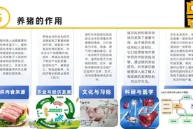 养猪的作用 养猪的作用，提供肉食，促进产业循环，环保视频封面