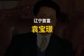 袁宝璟：28岁成为亿万富豪，33岁娶教授，40岁被判死刑！ #袁宝璟视频封面