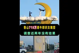 鲁山715万雕塑调查近两年没有结果，市民追问仍在调查中! 