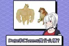 《Doge和Cheems》#doge #cheems #柴犬 #梗知识 视频封面