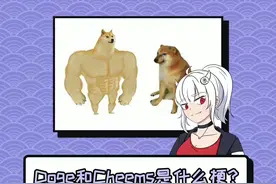 《Doge和Cheems》#doge #cheems #柴犬 #梗知识 视频封面