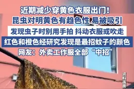 近期少穿黄色衣服出门！昆虫对明黄色有趋色性（科普中国） #黄色 #吸引 #昆虫 #小虫子视频封面