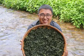 地木耳实现自由，冬宝去山里扯一大筐，和10个鸡蛋煮一锅，真香